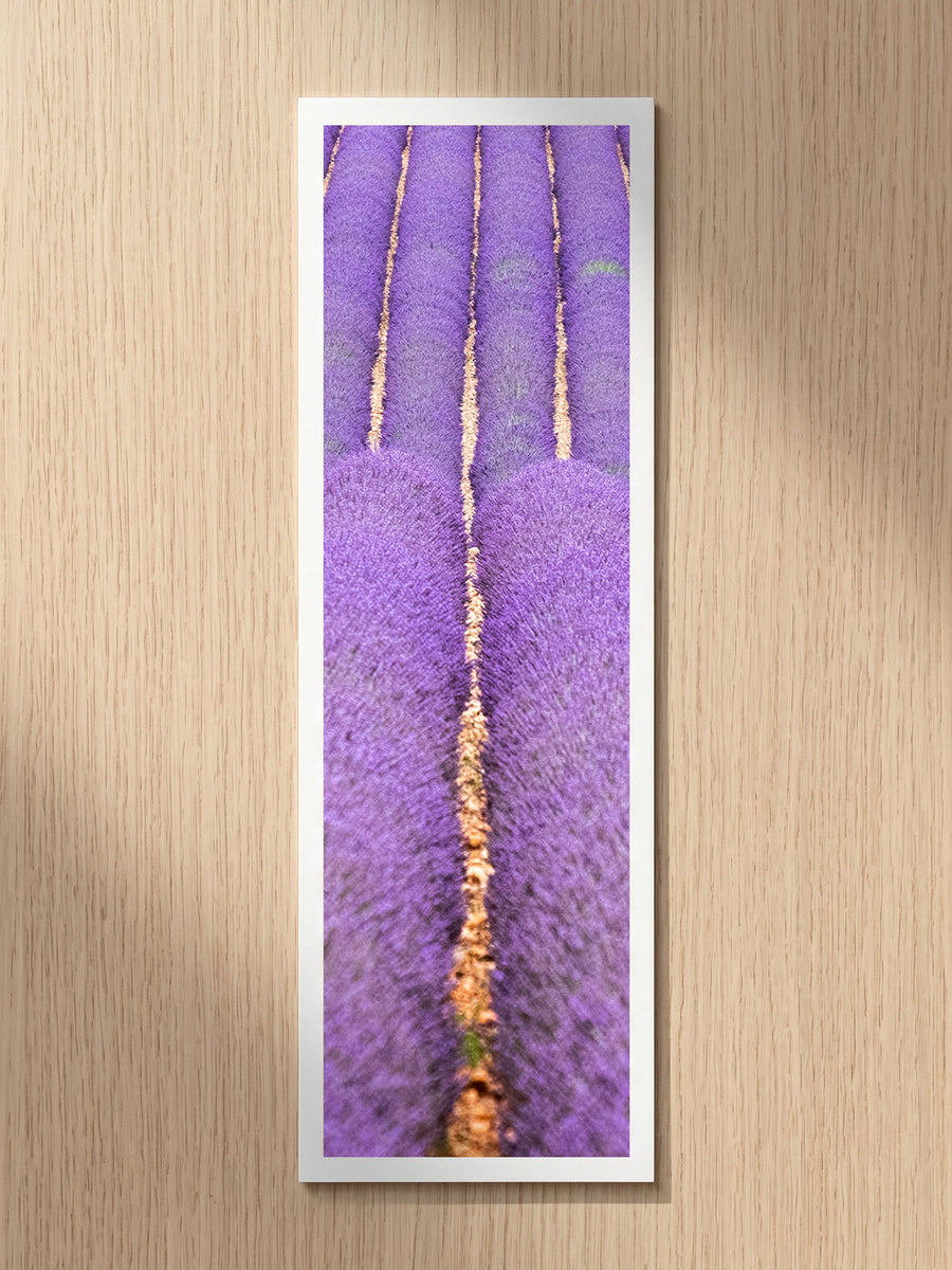 Purple Fields fine art bookmark printed on 100% cotton paper