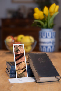Rainbow Ridge fine art bookmark styled with a dark book and fresh fruit