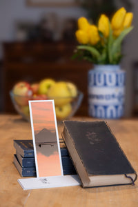 Reflection Twins fine art bookmark styled with a dark book and fresh fruit