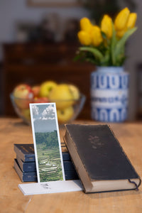 Rice Terraces fine art bookmark styled with a dark book and fresh fruit