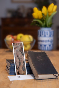 Scarlet Folds fine art bookmark styled with a dark book and fresh fruit
