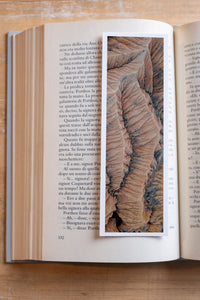 Scarlet Folds fine art bookmark resting in an open book, close-up
