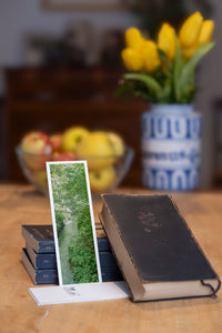 Secret Jungle fine art bookmark styled with a dark book and fresh fruit