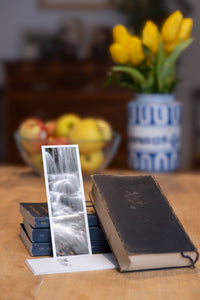 Silver Flowing fine art bookmark styled with a dark book and fresh fruit