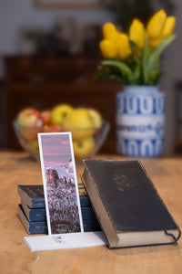Snowy Dawn fine art bookmark styled with a dark book and fresh fruit