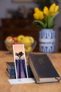 Soft Lavender fine art bookmark styled with a dark book and fresh fruit