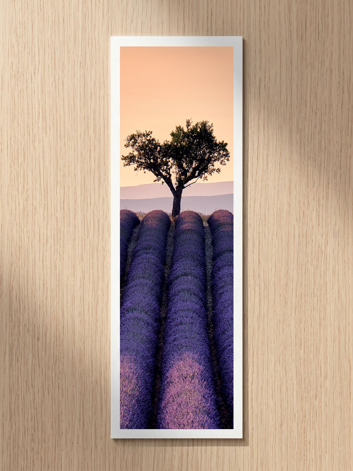 Soft Lavender fine art bookmark printed on 100% cotton paper