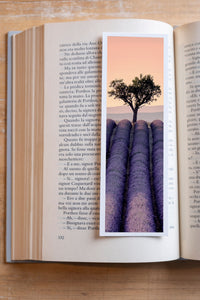 Soft Lavender fine art bookmark resting in an open book, close-up