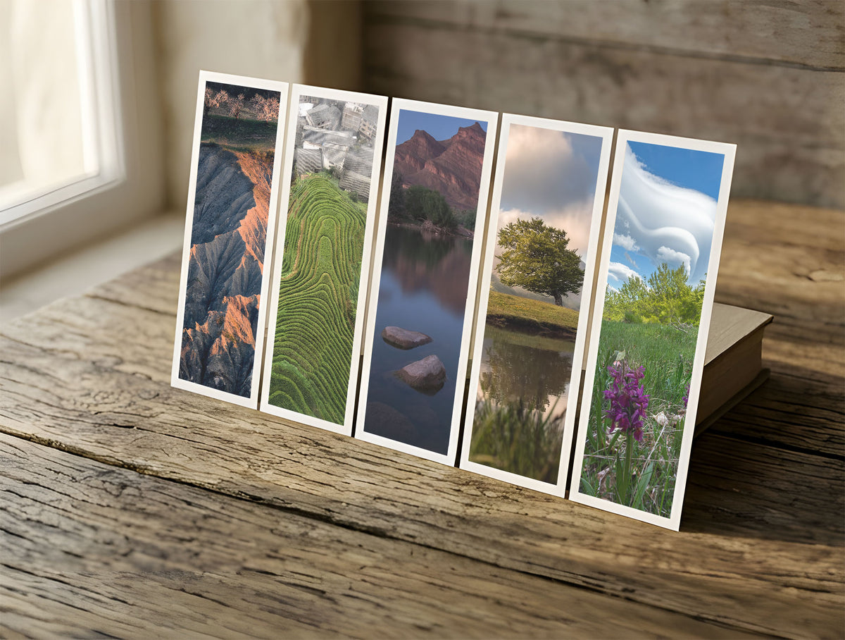Five Spring fine art bookmarks in a row in soft window light