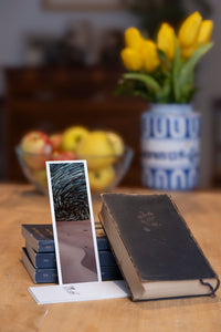 Starry Dunes fine art bookmark styled with a dark book and fresh fruit