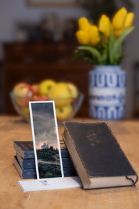 Stormy Sanctuary fine art bookmark styled with a dark book and fresh fruit