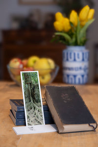 Strong Roots fine art bookmark styled with a dark book and fresh fruit