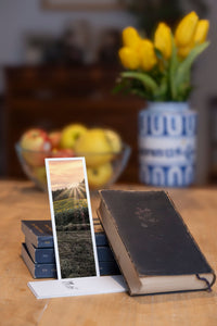 Summer Afternoon fine art bookmark styled with a dark book and fresh fruit
