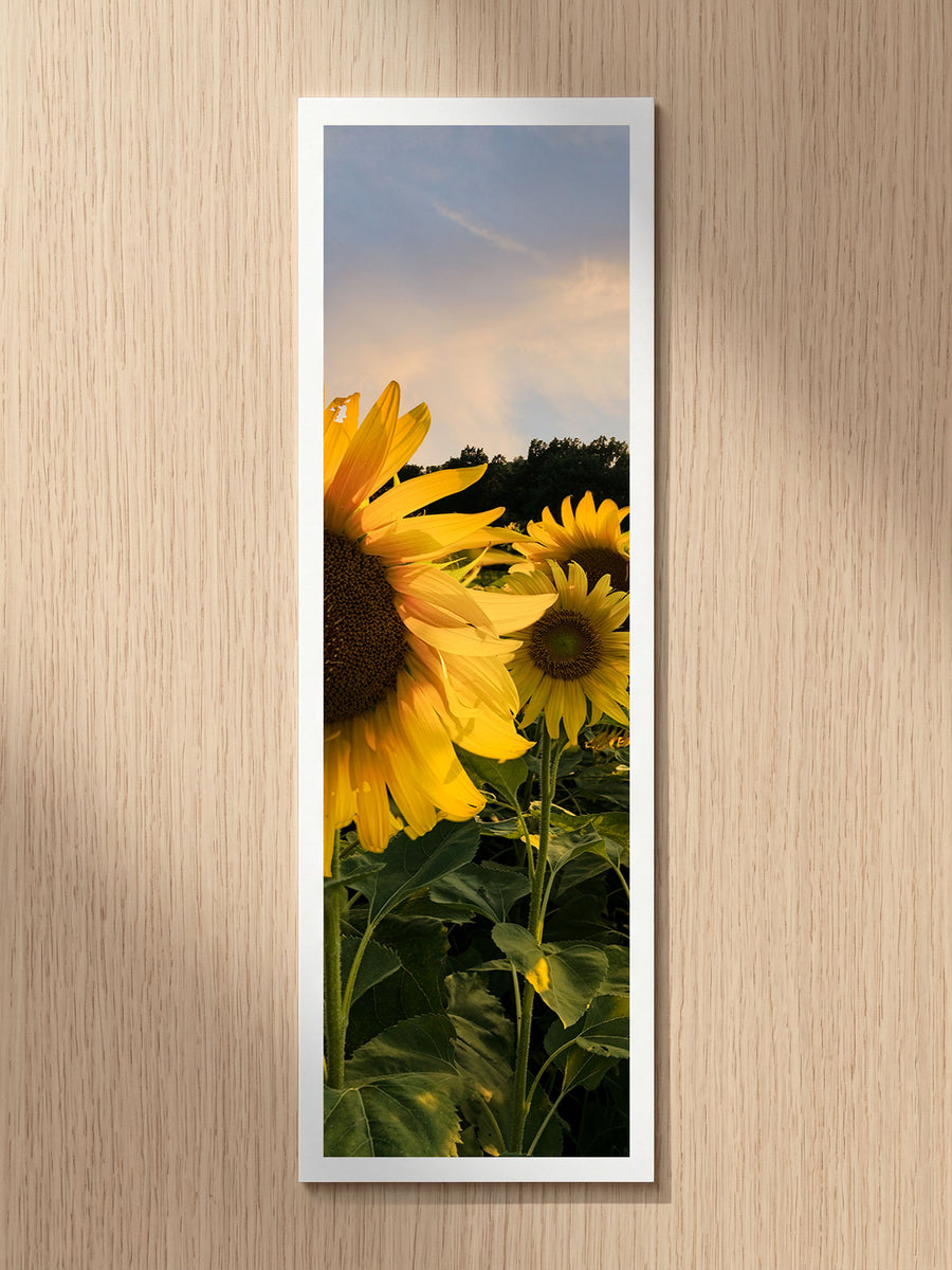 Summer Sunflowers fine art bookmark printed on 100% cotton paper