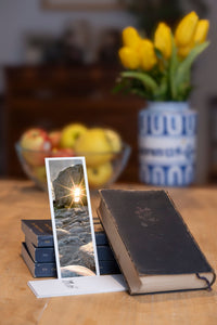 Sunburst fine art bookmark styled with a dark book and fresh fruit