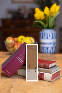 Terracotta fine art bookmark beside a stack of vintage books