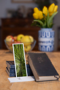 Tree Shepherd fine art bookmark styled with a dark book and fresh fruit