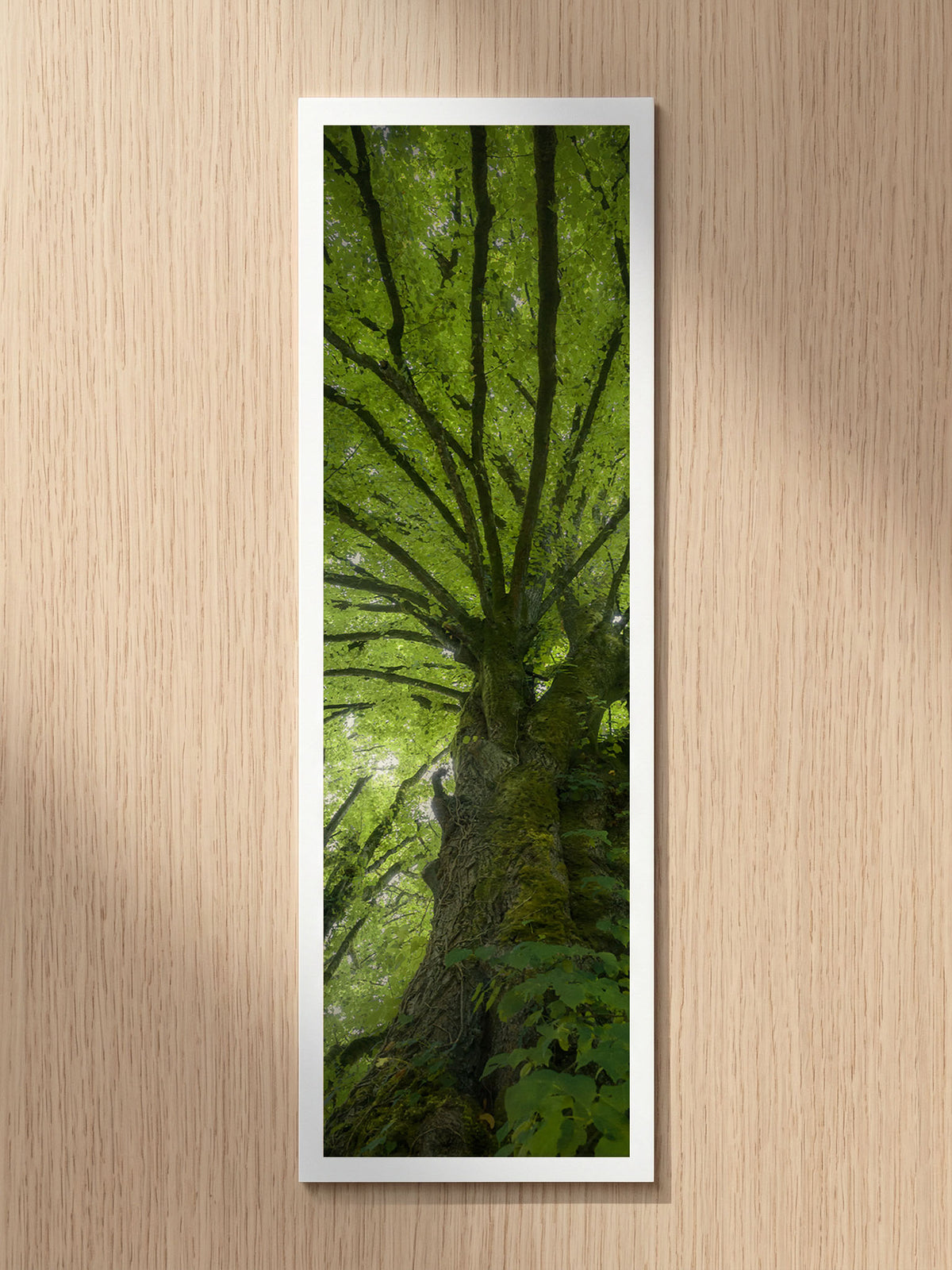 Tree Shepherd fine art bookmark printed on 100% cotton paper