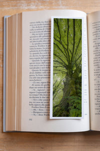 Tree Shepherd fine art bookmark resting in an open book, close-up