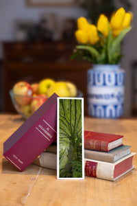 Tree Shepherd fine art bookmark beside a stack of vintage books