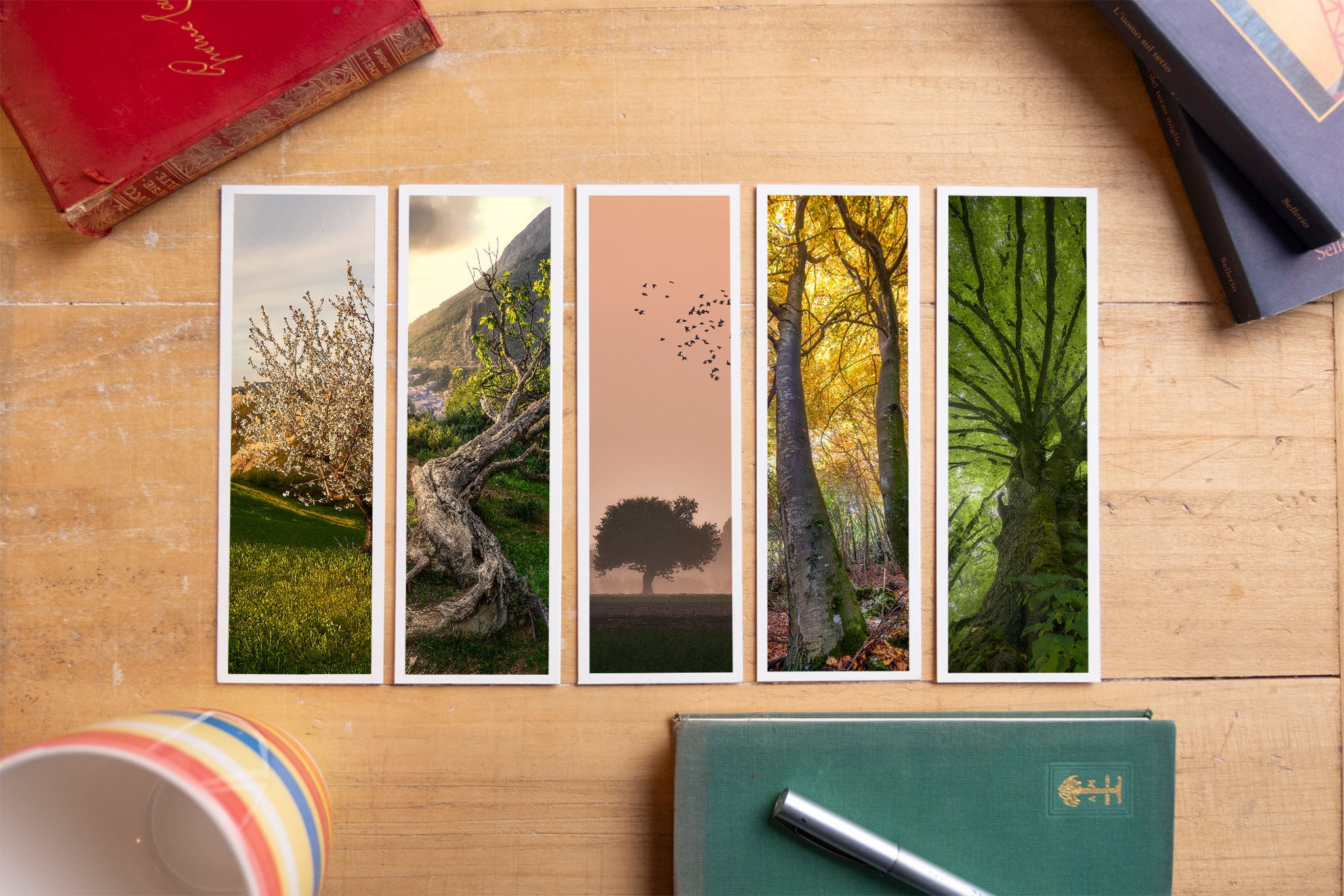 Trees fine art bookmark set displayed with vintage books