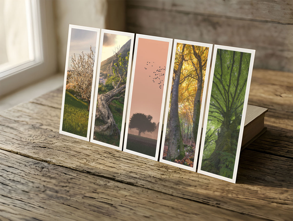 Five Trees fine art bookmarks in a row in soft window light