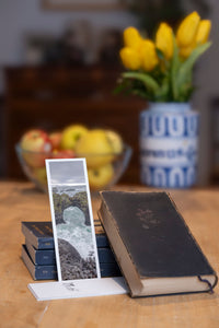 Wave Gate fine art bookmark styled with a dark book and fresh fruit