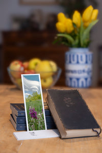 Wild Orchid fine art bookmark styled with a dark book and fresh fruit