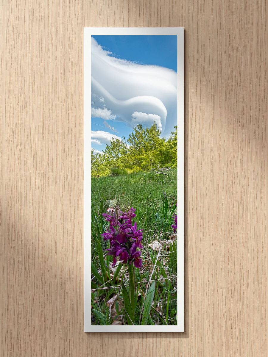 Wild Orchid fine art bookmark printed on 100% cotton paper