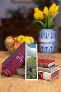 Wild Orchid fine art bookmark beside a stack of vintage books