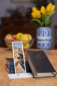 Zigzag Ridge fine art bookmark styled with a dark book and fresh fruit