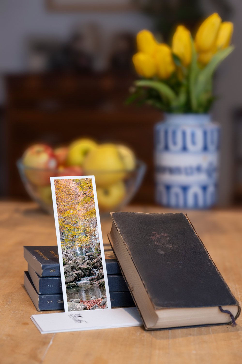 autumn-autumn-at-dardagna-fine-art-bookmark-black-book-fruits