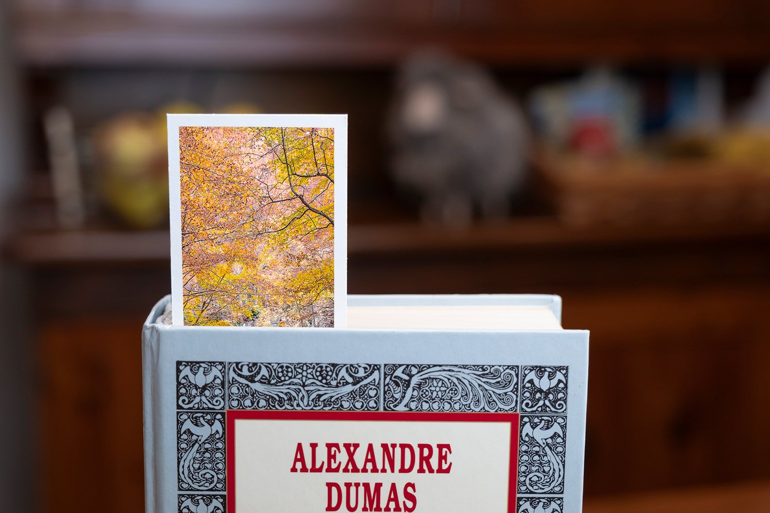 autumn-autumn-at-dardagna-fine-art-bookmark-book-top