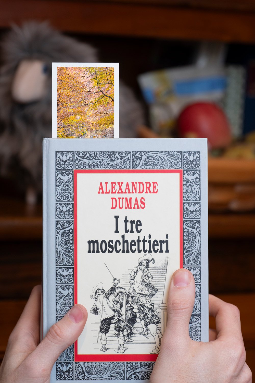 autumn-autumn-at-dardagna-fine-art-bookmark-held-book